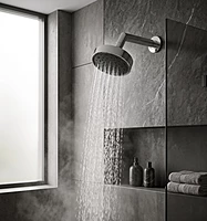 Alexa 4" Shower with Arm