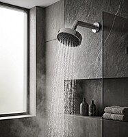 Alexa 4" Shower with Arm