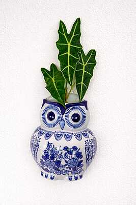 Lapis Charm Owl