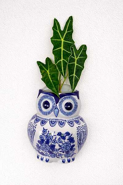 Lapis Charm Owl