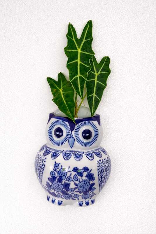 Lapis Charm Owl