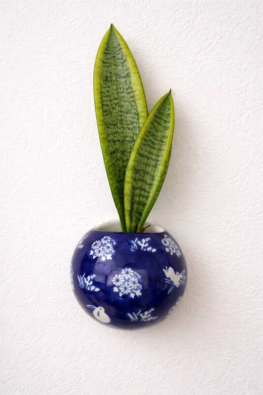 Bloom in blue