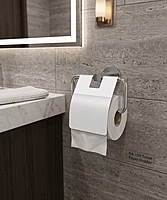 Toilet Paper Holder Chrome