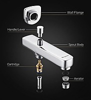 Aqua Wall Spout with Diverter