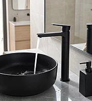 Praseo Matte Black Tall Body Basin Mixer