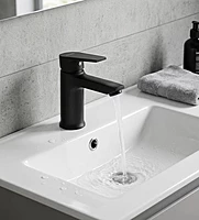 Praseo Matte Black Single Lever Basin Mixer