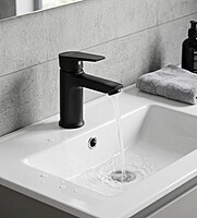 Praseo Matte Black Single Lever Basin Mixer