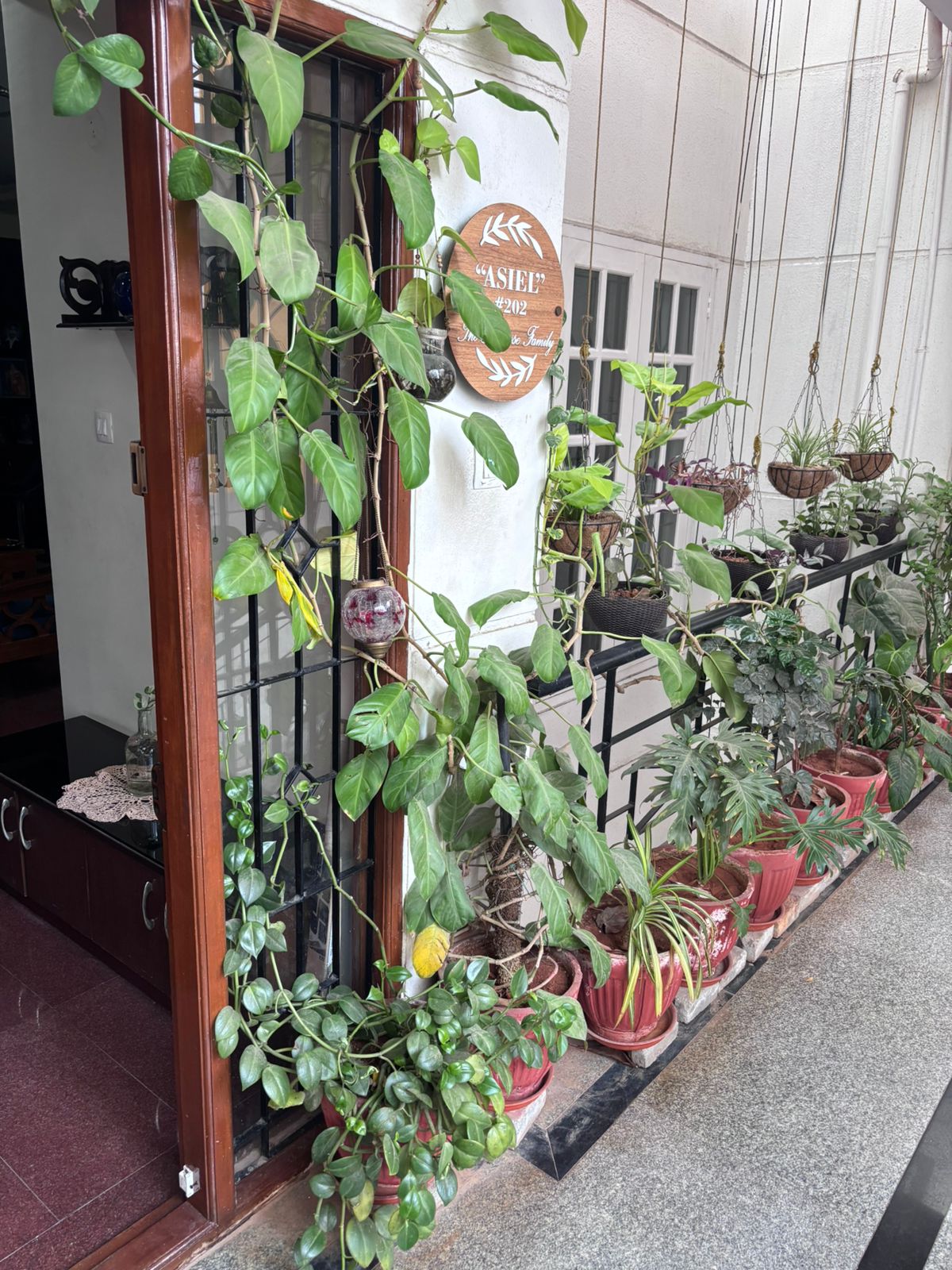 Alexandria's Safe Haven Koramangala Bangalore