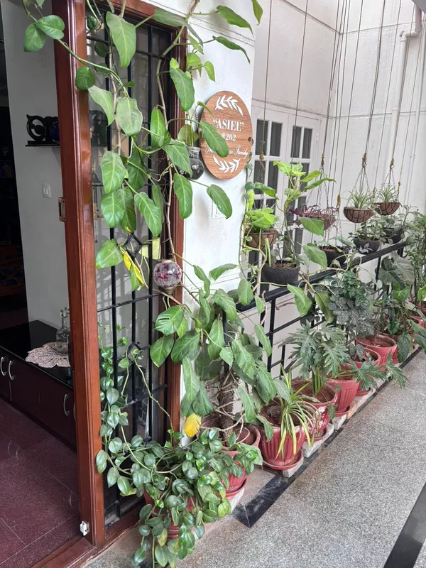 Alexandria's Safe Haven Koramangala Bangalore