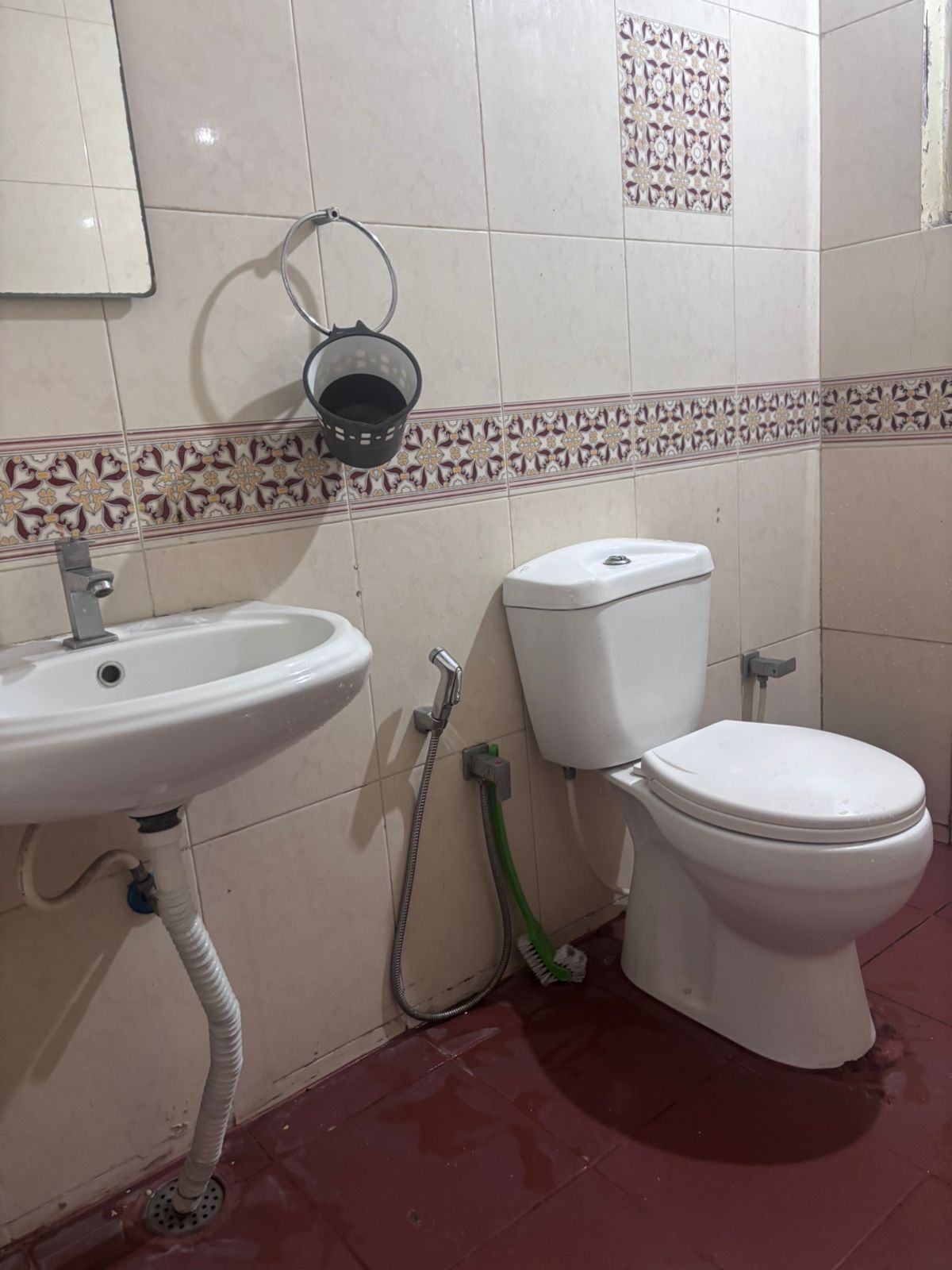Alexandria's Safe Haven Koramangala Bangalore
