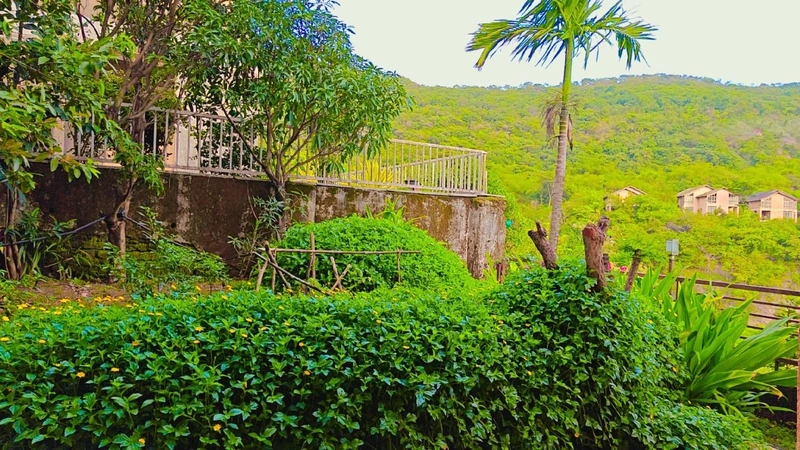 Peace Lily's Luxurious Staycation # Fun, Food, Music Lavasa Pune