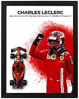 Charles Leclerc F1 Die Cast Frame