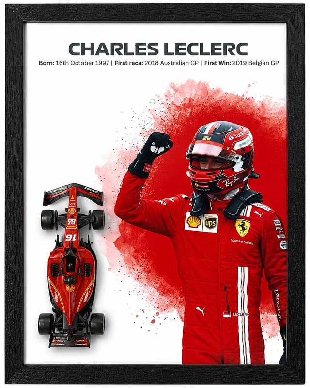 Charles Leclerc F1 Die Cast Frame