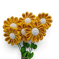 Daisy Large Flower Yellow