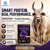 TOROVOX MARINE PROTEIN BOOSTER FOR BULLS 500 GMS