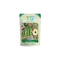 Hybrid Okra TG-Anvita