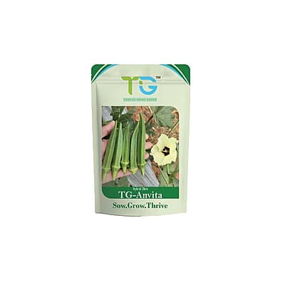 Hybrid Okra TG-Anvita