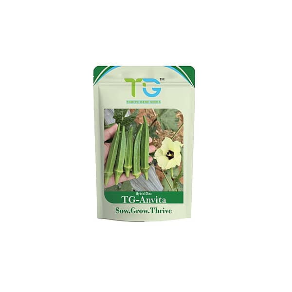 Hybrid Okra TG-Anvita