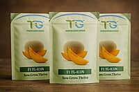Hybrid Muskmelon TG-Icon Hybrid Muskmelon TG-Icon