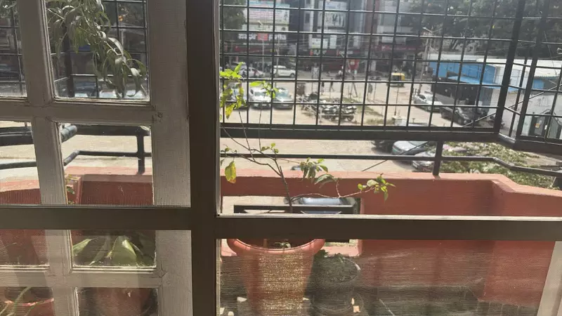 Alexandria's Safe Haven Koramangala Bangalore