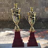 RC-CM3148A GOLD 2FT 7"