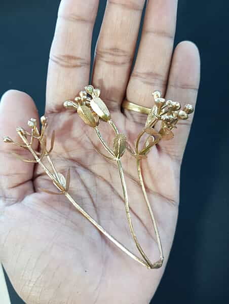 GOLD leaf-1