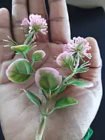 Small Flower Bunch GOLD -10