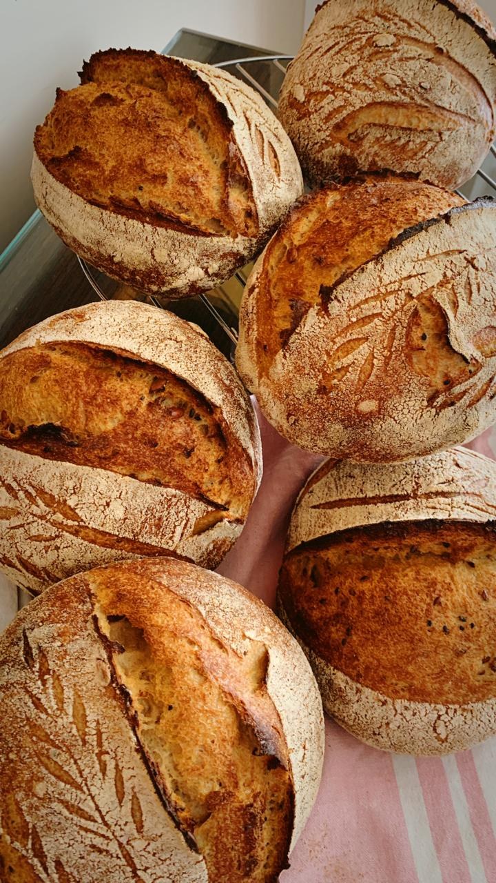 Organic 100% Whole Wheat Sourdough Boule