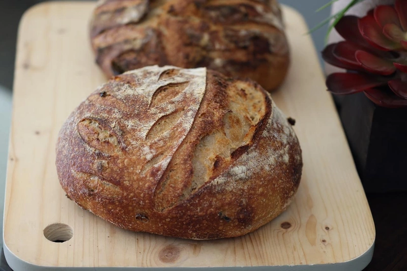 Organic 100% Whole Wheat Sourdough Boule