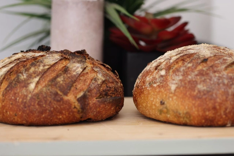 Organic 100% Whole Wheat Sourdough Boule