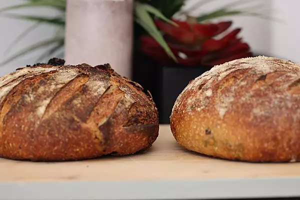 Organic Wholewheat Sourdough Flavoured - Khameer by Kajal