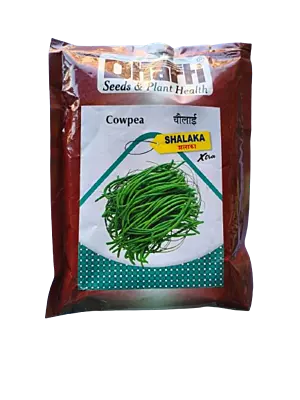 Cowpea Shalaka