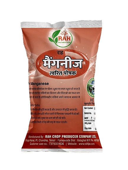 MAGNEESE CHELATED  (500 gm)