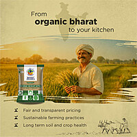 Organic Whole Wheat Atta 1kg