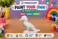 Reusable Hornbill + 2 Cartoon Favourites DIY Painting Kit-Set of 3