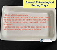 Larval sorting Tray Small Acrylic Based