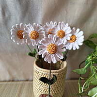 Crochet White Daisy (Bunch of 6)