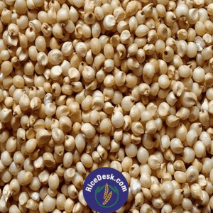 White Jowar | Jonnalu : 1kg White Jowar | Jonnalu : 1kg