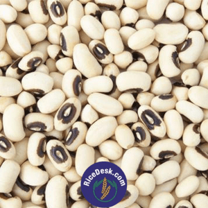 White Lobia | Bobbarlu White Lobia | Bobbarlu