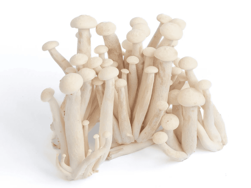 White Shimeji Mushrooms 200 Gms