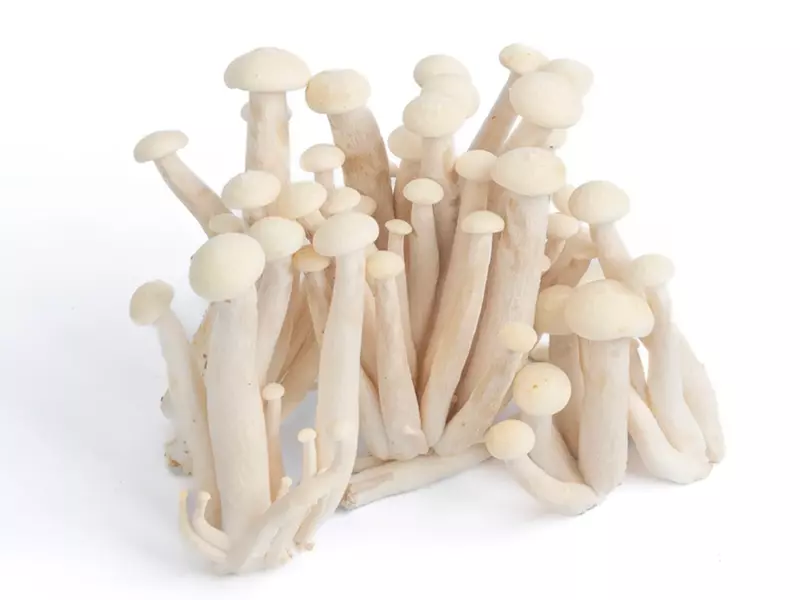 White Shimeji Mushrooms 200 Gms
