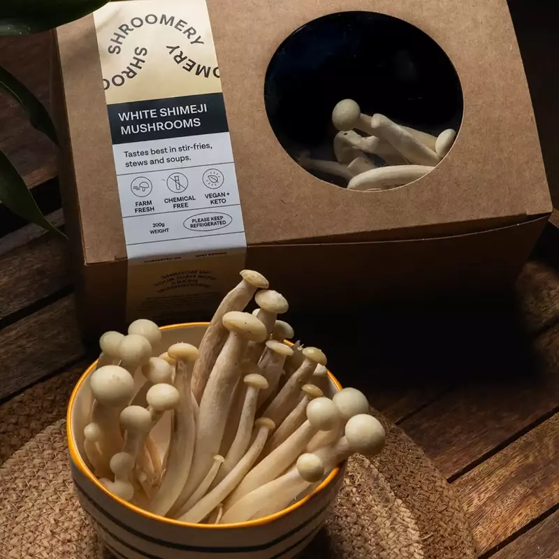 White Shimeji Mushrooms - Shroomery