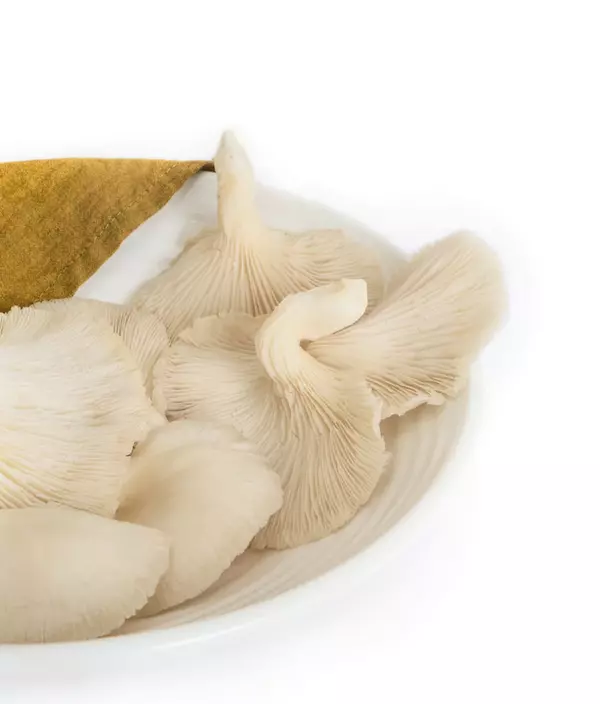 White Oyster Mushrooms 250 Gms