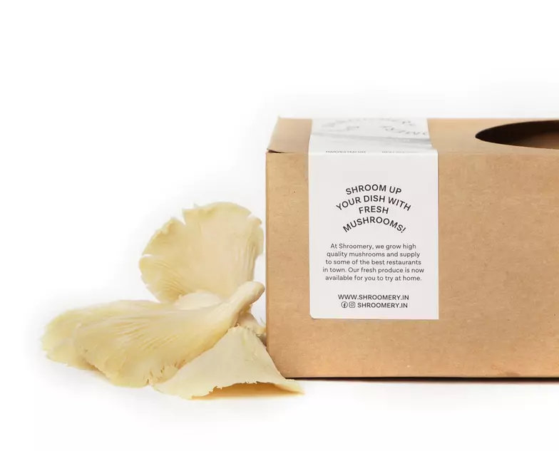 White Oyster Mushrooms 250 Gms
