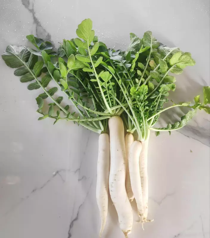 White Radish (Mooli) 500 Gms