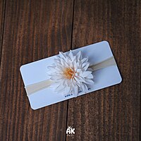 Dahlia Headband