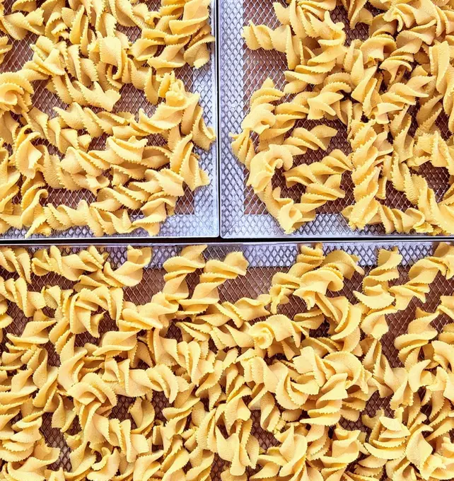 Whole Wheat Fusilli