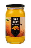 Wild Rock Bee Honey - Dorsata 500gms