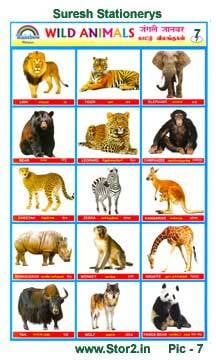 Wild Animals - 1 - Educational Picture Chart No - 7