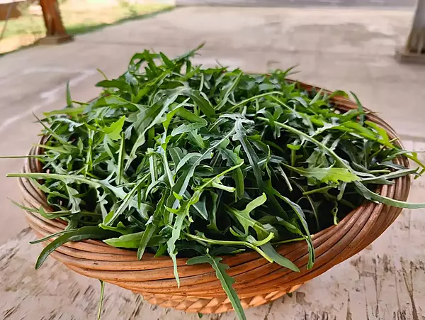 Arugula 250gms - IDRO Fresh